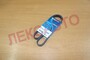 Ремень приводной ГАЗОН NEXT дв.ЯМЗ-5344 (с рефрижератором) DAYCO